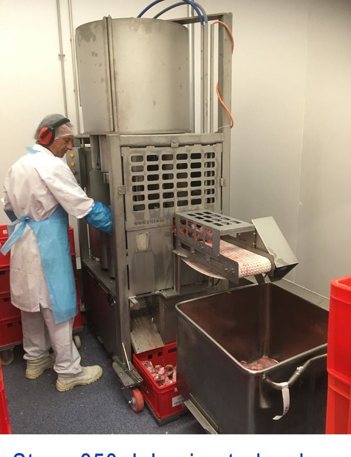 Steen 850, Boning Turkey