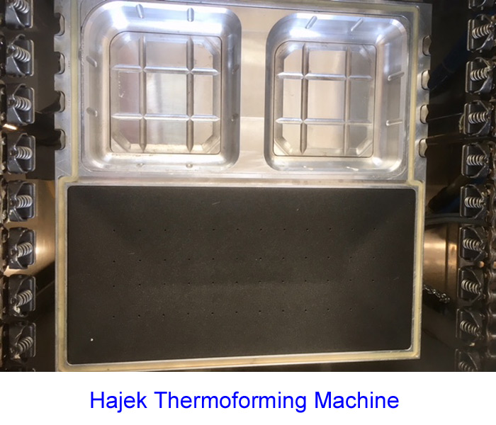 Hajek Thermoforming Machine VS 20-350-150